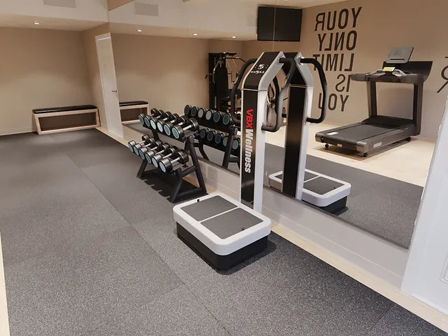 VBX 4000 Full Body Vibration Plate