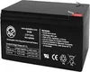 BATTERY: TRANSPORT AF (LITHIUM) (1) 11.5 Ah Batteries