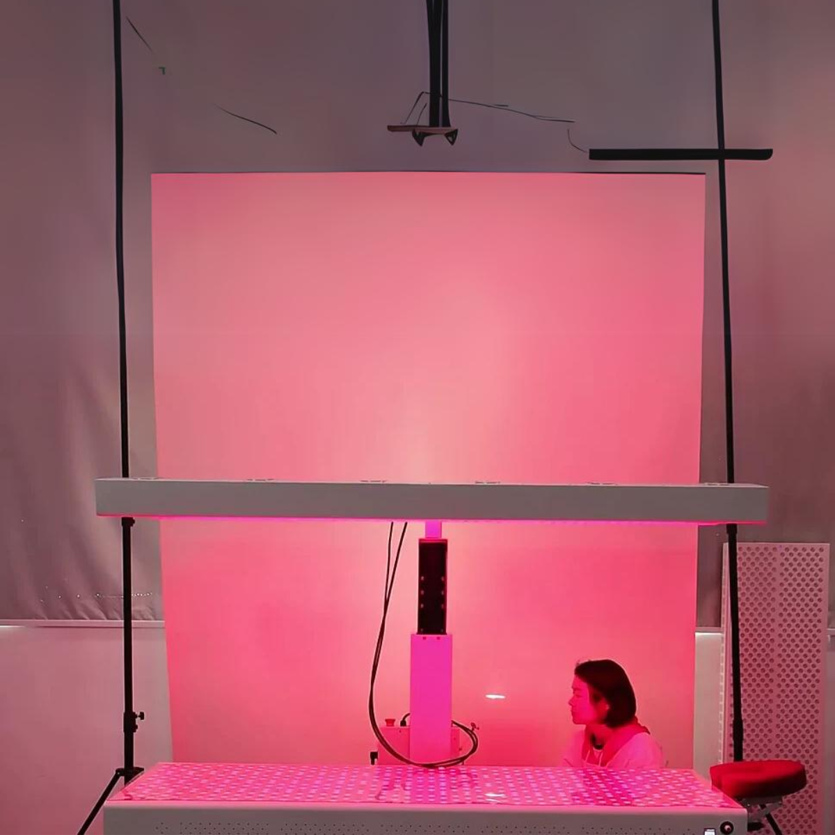 Viva Pro Red Light & NIR Portable Therapy Bed