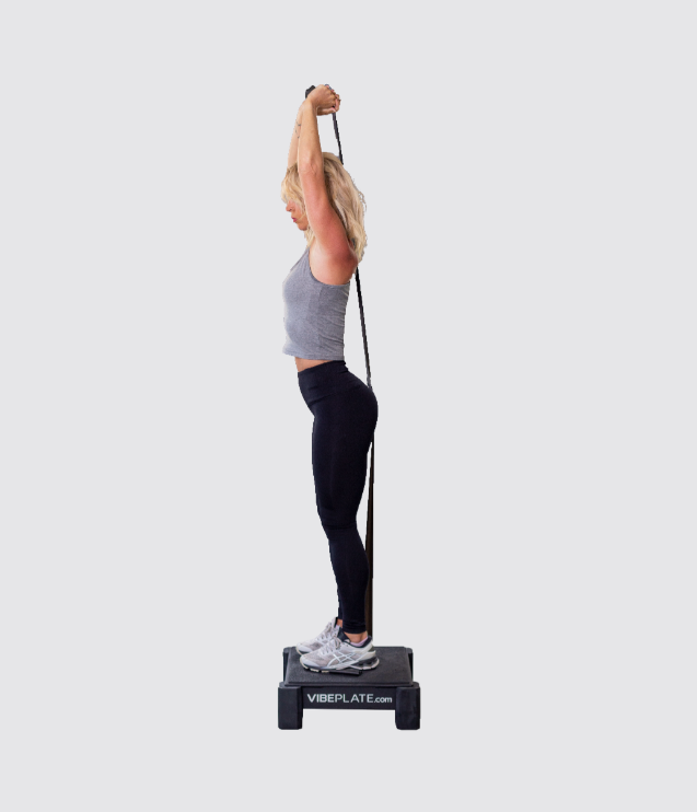 VibePlate Mini Whole Body Vibration Machine