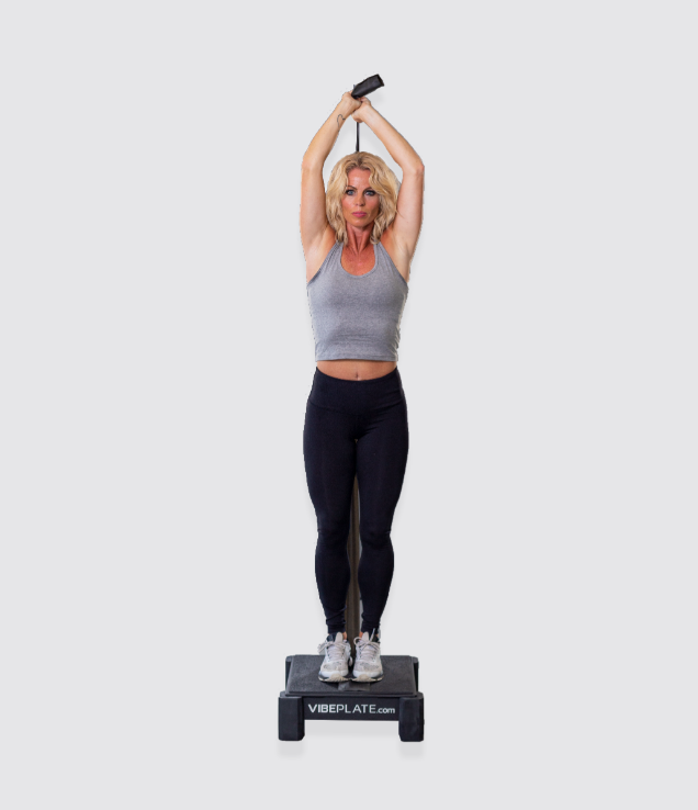 VibePlate Mini Whole Body Vibration Machine