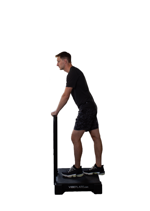 Vibeplate 2424 Whole Body Vibration Machine