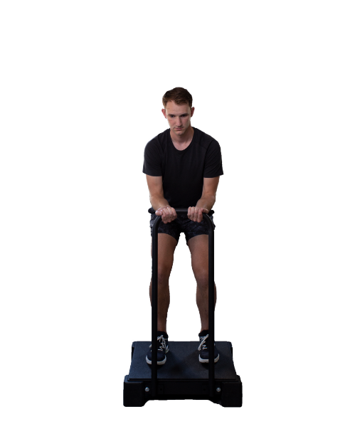 Vibeplate 2424 Whole Body Vibration Machine