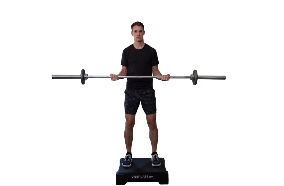 Vibeplate 2424 Whole Body Vibration Machine