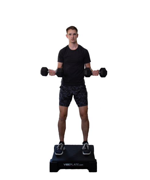 Vibeplate 2424 Whole Body Vibration Machine