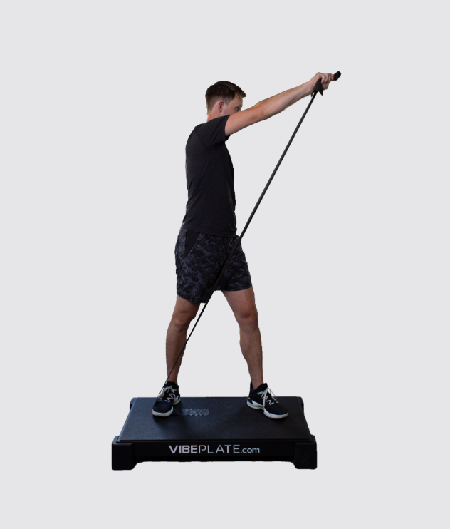 Vibeplate 2440 Whole Body Vibration Machine