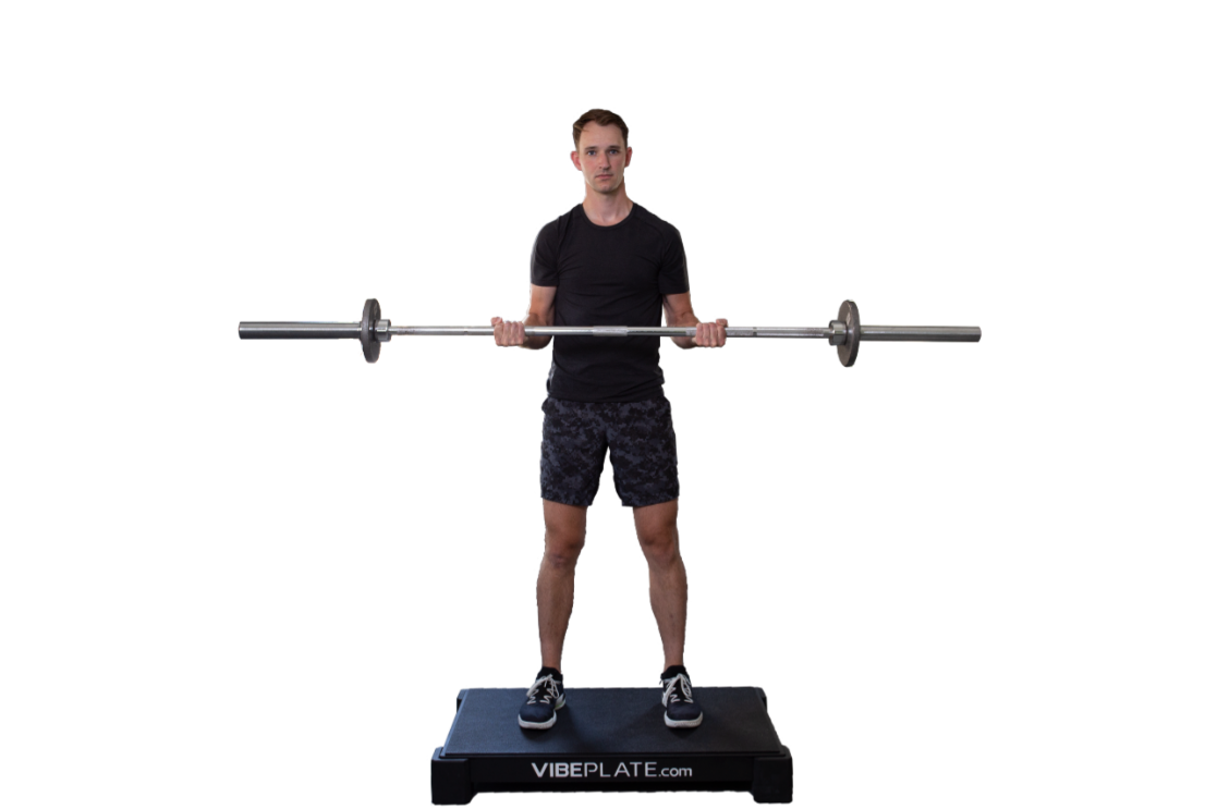 Vibeplate 2440 Whole Body Vibration Machine