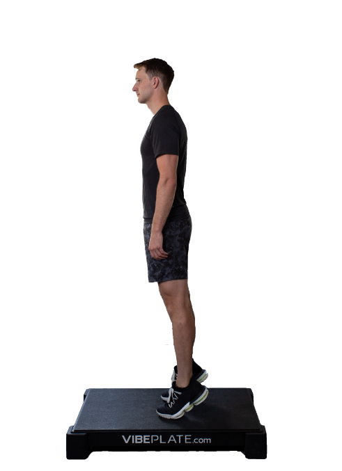 Vibeplate 2440 Whole Body Vibration Machine