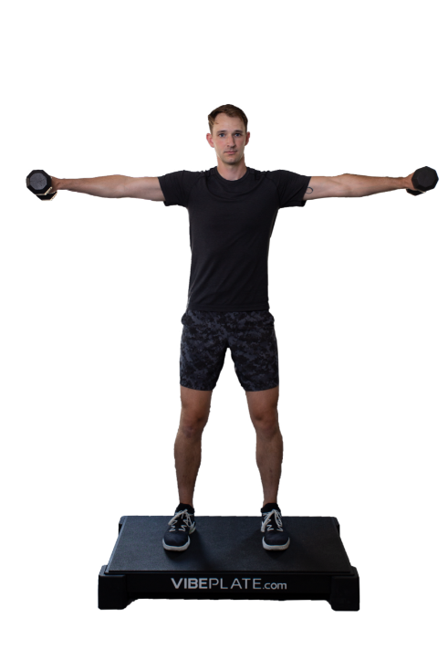 Vibeplate 2440 Whole Body Vibration Machine
