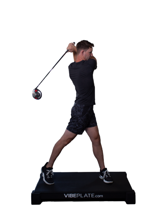 Vibeplate 3048 Whole Body Vibration Machine