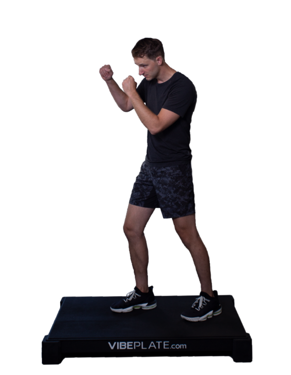 Vibeplate 3048 Whole Body Vibration Machine