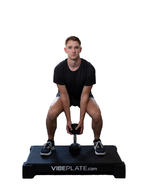 Vibeplate 3048 Whole Body Vibration Machine