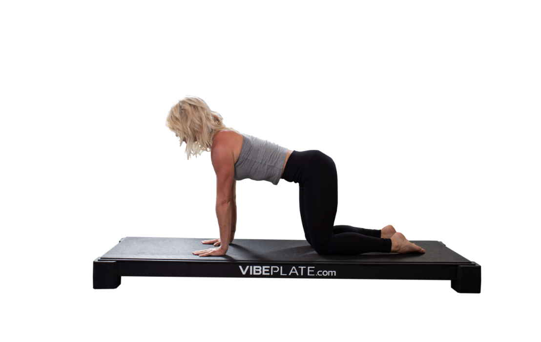 VibePlate Yoga Plate Whole Body Vibration Machine