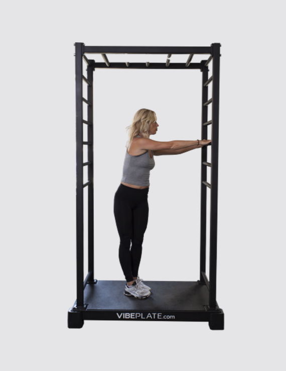 VibePlate Vibe Stretch Whole Body Vibration Machine