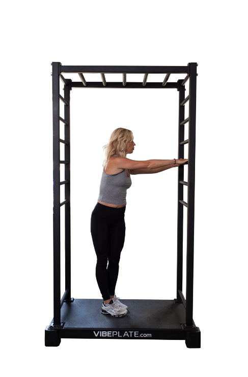 VibePlate Vibe Stretch Whole Body Vibration Machine